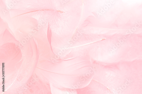 Soft pink feathers background