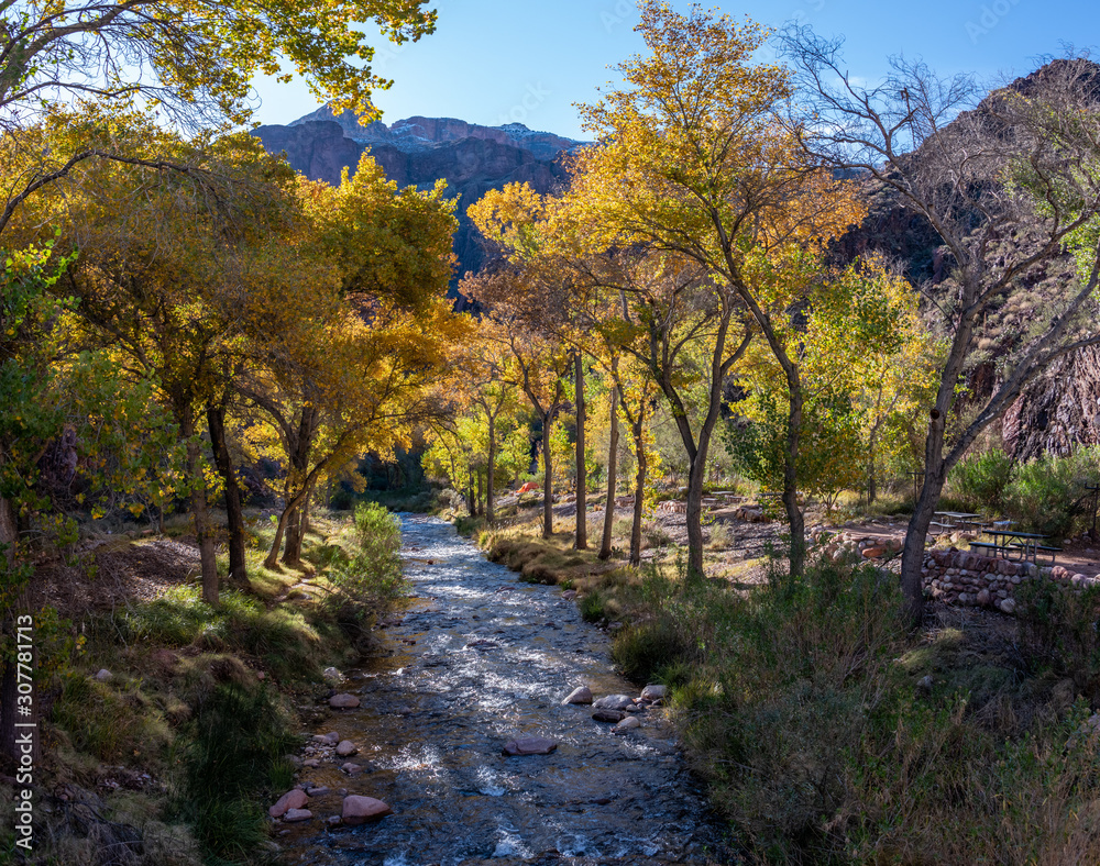 Naklejka premium Creek