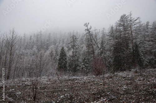 Mountain landscapes of the nature of the Russian Far East