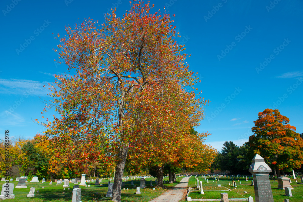 Last Rest Cemetery and trees with fall foliage in Merrimack, New Hampshire, NH, USA.