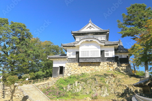 Landmark, Culture, Bitchu Matsuyama Castle photo