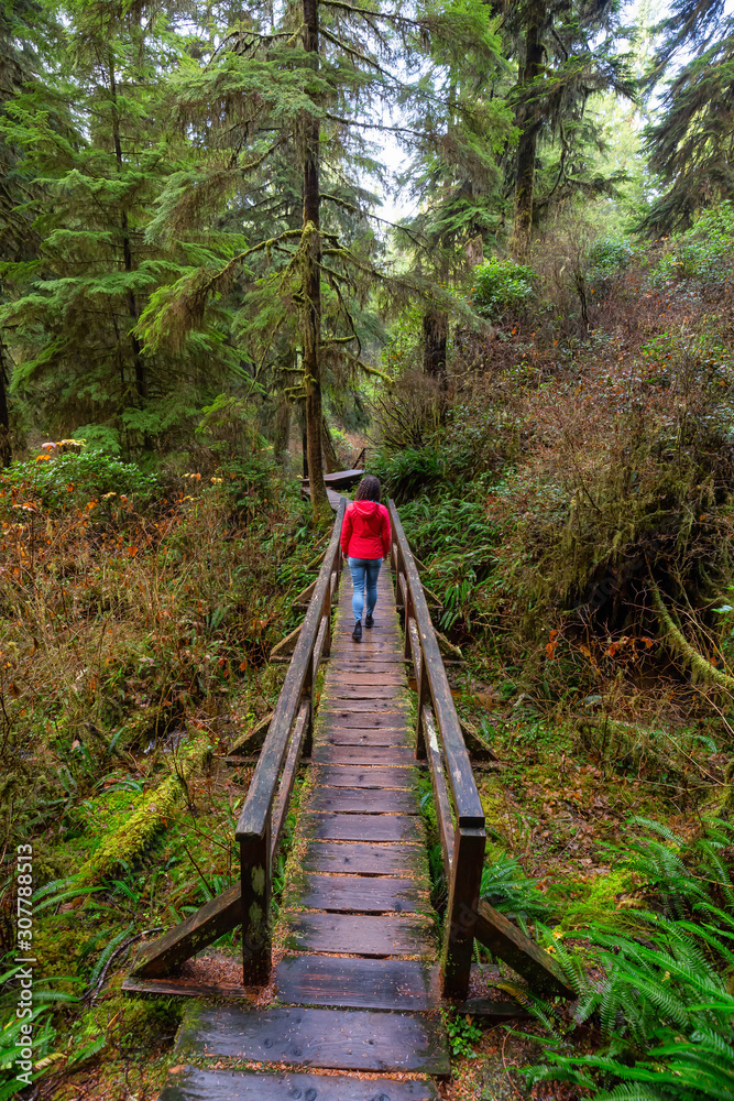 Fototapeta premium Woman wearing a red coat walking on a wooden path in a wild forest. Taken in Rainforest Trail, near Tofino and Ucluelet, Vancouver Island, BC, Canada.