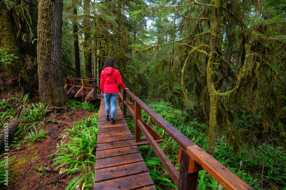 Fototapeta premium Woman wearing a red coat walking on a wooden path in a wild forest. Taken in Rainforest Trail, near Tofino and Ucluelet, Vancouver Island, BC, Canada.