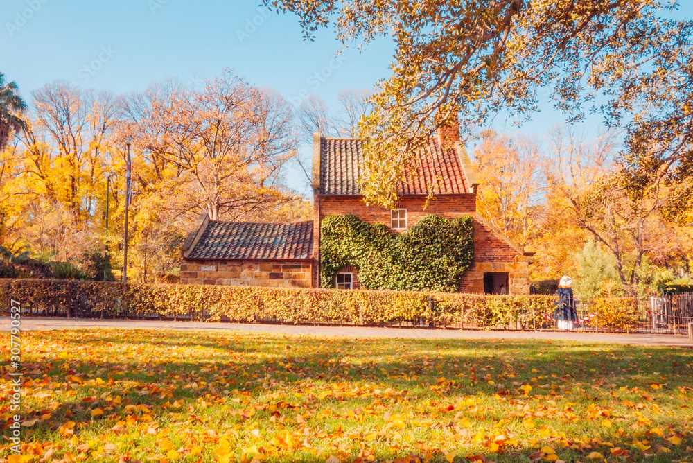 Fototapeta premium Cook's Cottage in Autumn, Fitzroy Gardens, Melbourne, Australia