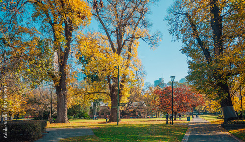 Fitzroy gardens at autumn seasons