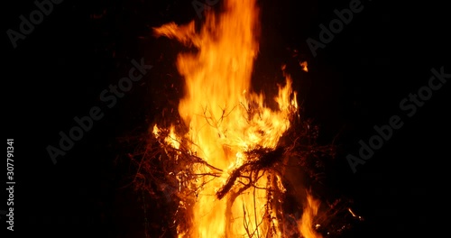 Tilt up on burning bush photo