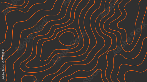 The stylized height of the topographic contour in lines and contours. The concept of a conditional geography scheme and the terrain path. Vector illustration.