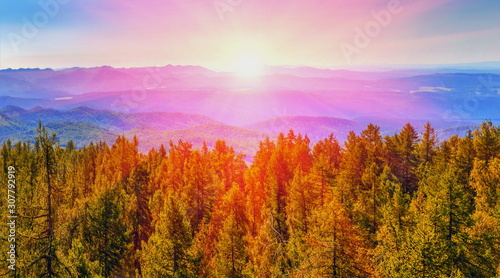 Ural Taiga against the backdrop of distant mountain peaks.