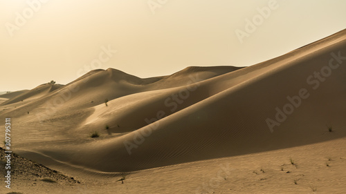 Fototapeta Naklejka Na Ścianę i Meble -  sand dunes in the desert