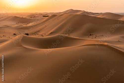 sand dunes in the desert