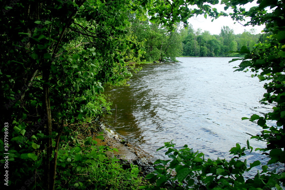 Obraz premium River Daugava near the town of Staburags, Sunny Day, big wind and wawes.Latvia