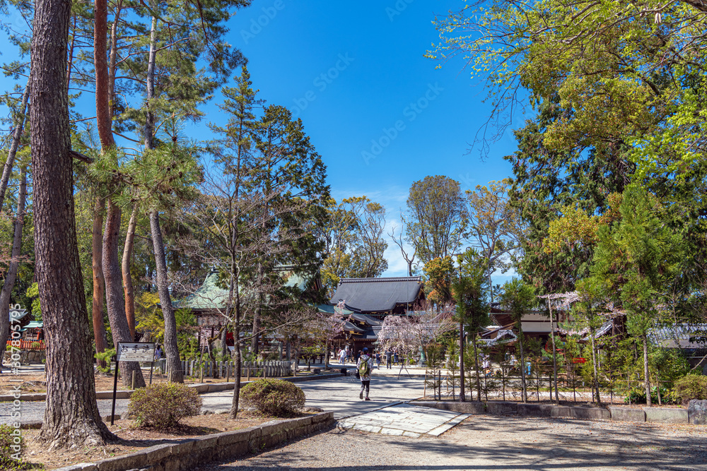 京都 今宮神社 境内風景