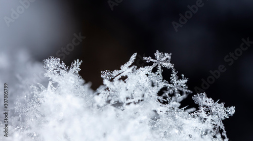natural snowflakes on snow, winter © vadim_fl