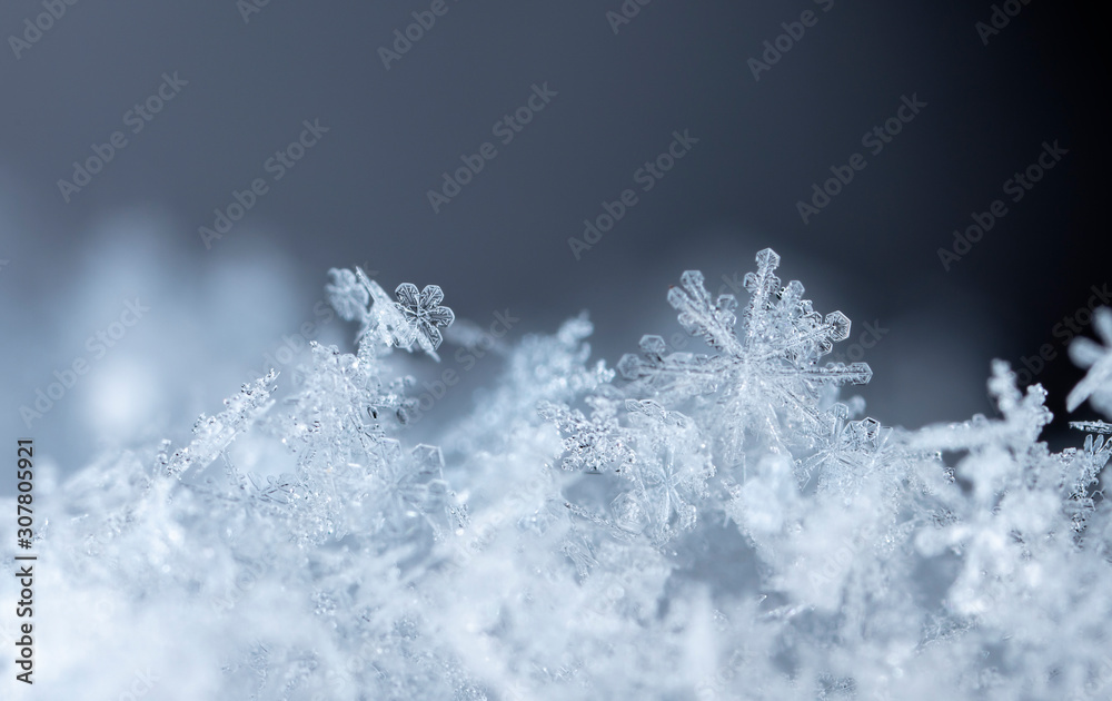 natural snowflakes on snow, winter natural snowflakes on snow, winter
