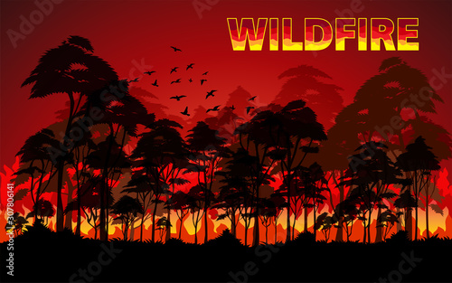 Forest fires vector, Wildfire