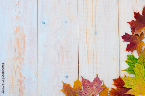 Autumn background with rad leaves on a wooden background