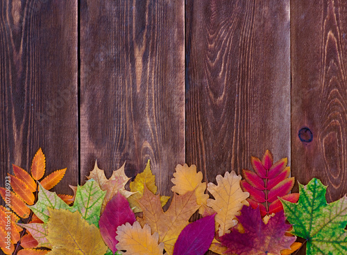 Autumn background with rad leaves on a wooden background