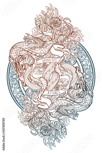 Two dragons fighting