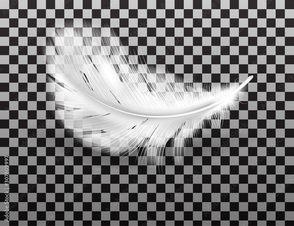 White fluffy feather with shadow vector realistic isolated on ...