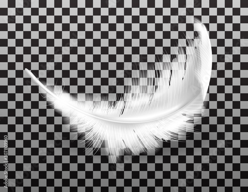 White fluffy feather with shadow vector realistic isolated on transparent background. Feathers from wings of birds or angel, symbol of softness and purity, design element