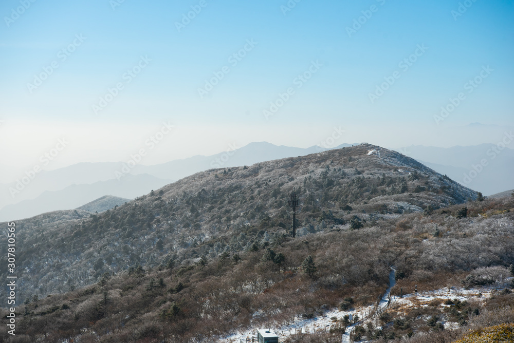 Fototapeta premium 한국의 겨울