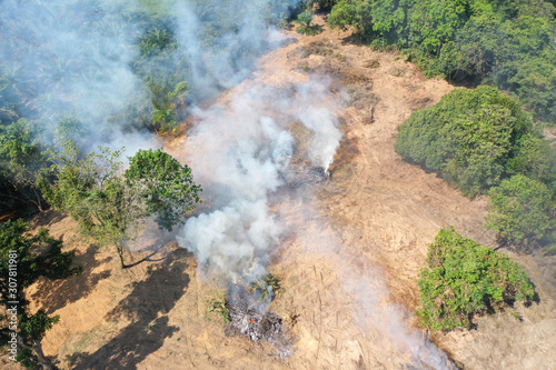 Deforestation and fire. Rainforest is cut down and burned to make way for agricultural land