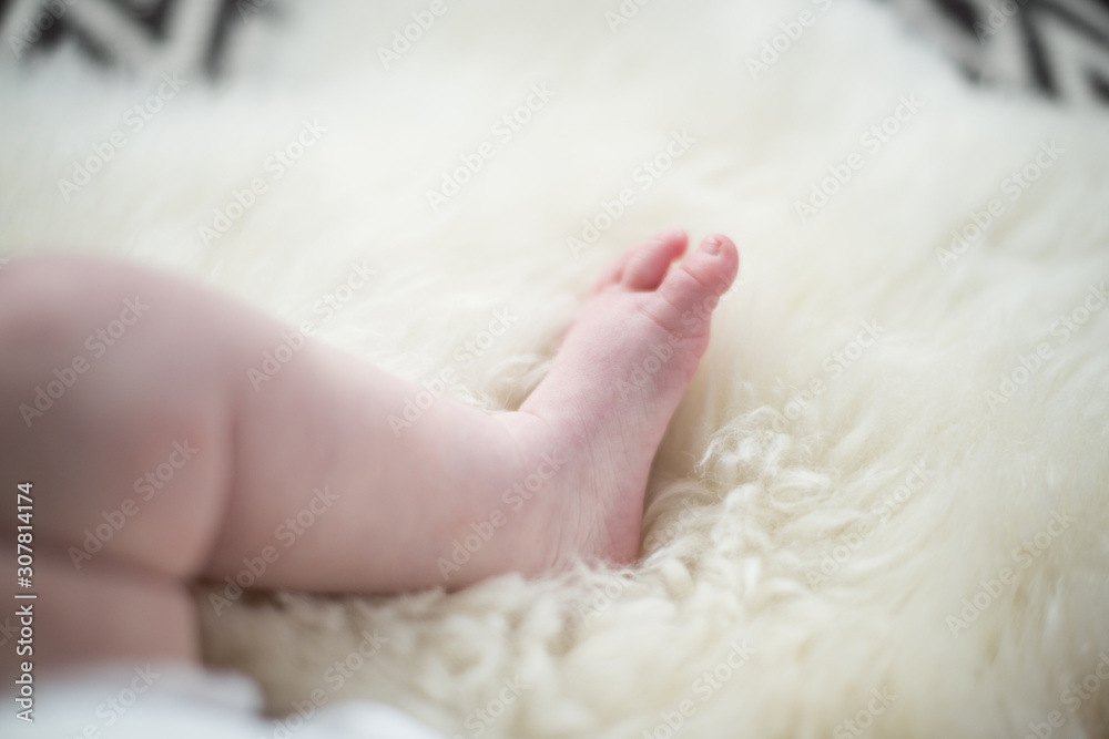 A beautiful soft delicate warm young baby foot photographed with a shallow depth of field. gentle calm colours and feel. baby care and well being. babies feet on a cream fur rug. A beautiful soft delicate warm young baby foot photographed with a shallow depth of field. gentle calm colours and feel. baby care and well being. babies feet on a cream fur rug.