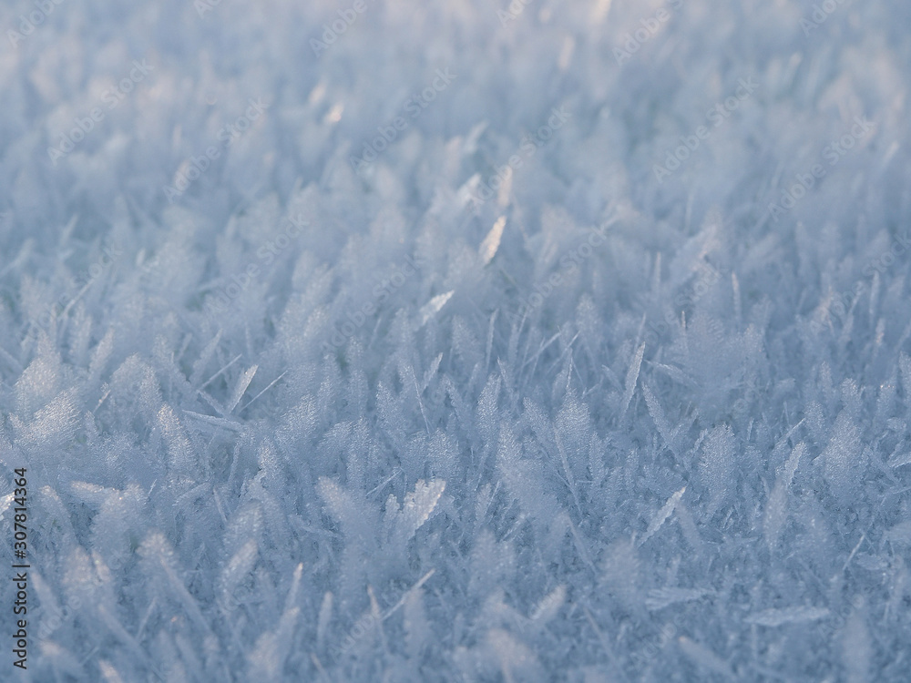 Obraz premium Delicate frosty background with beautiful frost crystals in winter. Natural ornament ornament hoarfrost decoration and design.