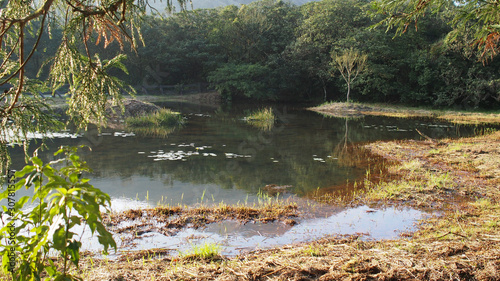Fototapeta Naklejka Na Ścianę i Meble -  river pond reflection in forest