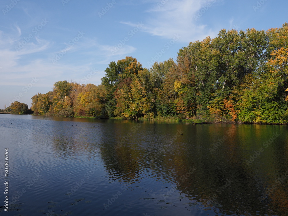 Picturesque landscape of trees and lake at Wilanow park in european Warsaw capital city in Poland