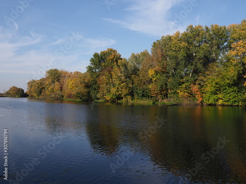 Picturesque landscape of trees and lake at Wilanow park in european Warsaw capital city in Poland