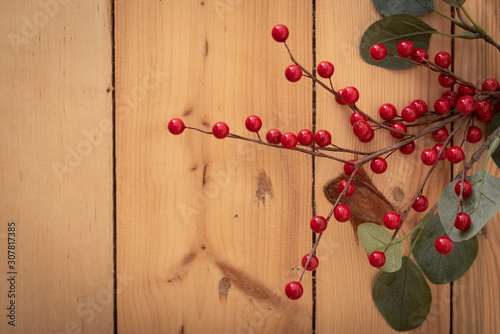 Winterbeeren mit Platz für Text photo