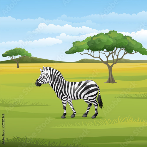 Cartoon zebra standing in the savannah