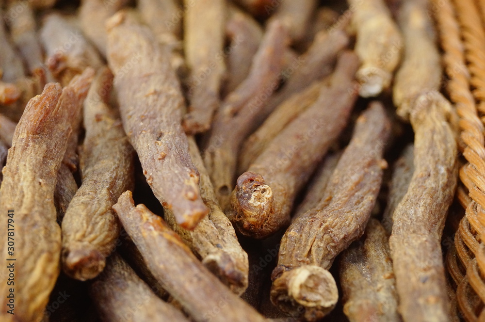 Close-up of the medicinal herb red ginseng Close-up of the medicinal herb red ginseng