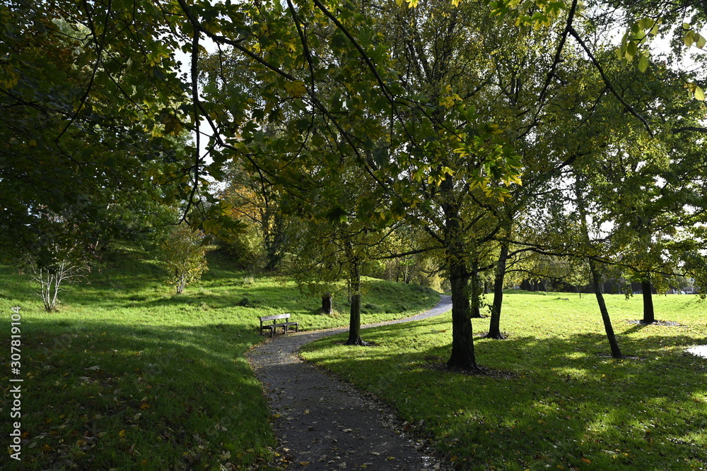 Fototapeta premium path in the park