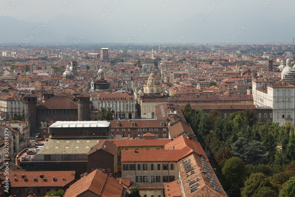 A View of the City of Turin, Italy