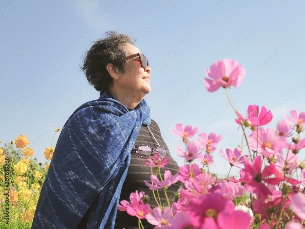 Asian senior woman wearing sun glasses looking up and smiling in cosmos flower garden. Asian senior woman wearing sun glasses looking up and smiling in cosmos flower garden.