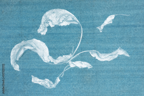 close up of dry leaves on textured background photo