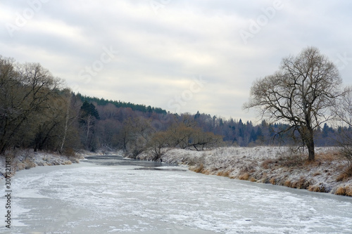 The first ice on the river. River bank with thickets of dry brown grass, trees and cloudy sky. Autumn landscape