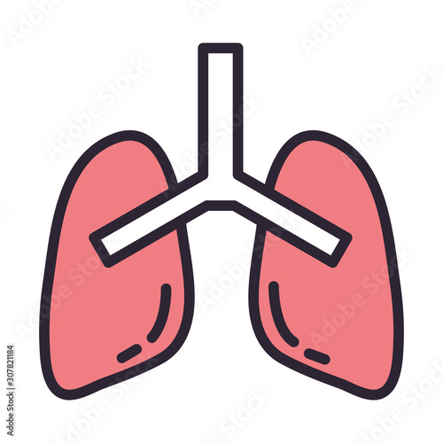 lungs human organ isolated icon