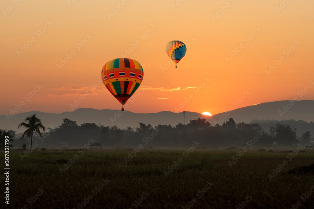 Obraz premium Hotair balloon in the morning sky floating through the rice fields