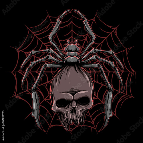 vector of spider with skull illustration