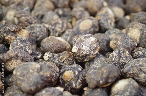 Close-up of wild maca