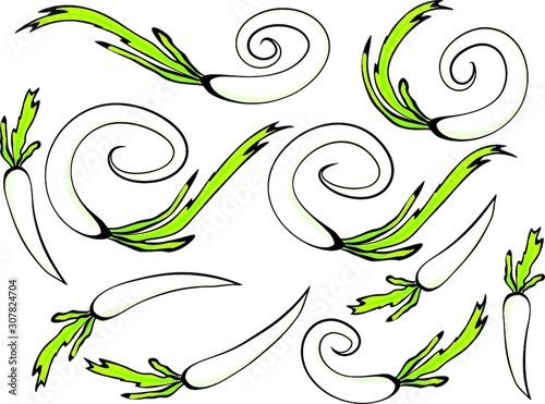 Vegetable design icon frame