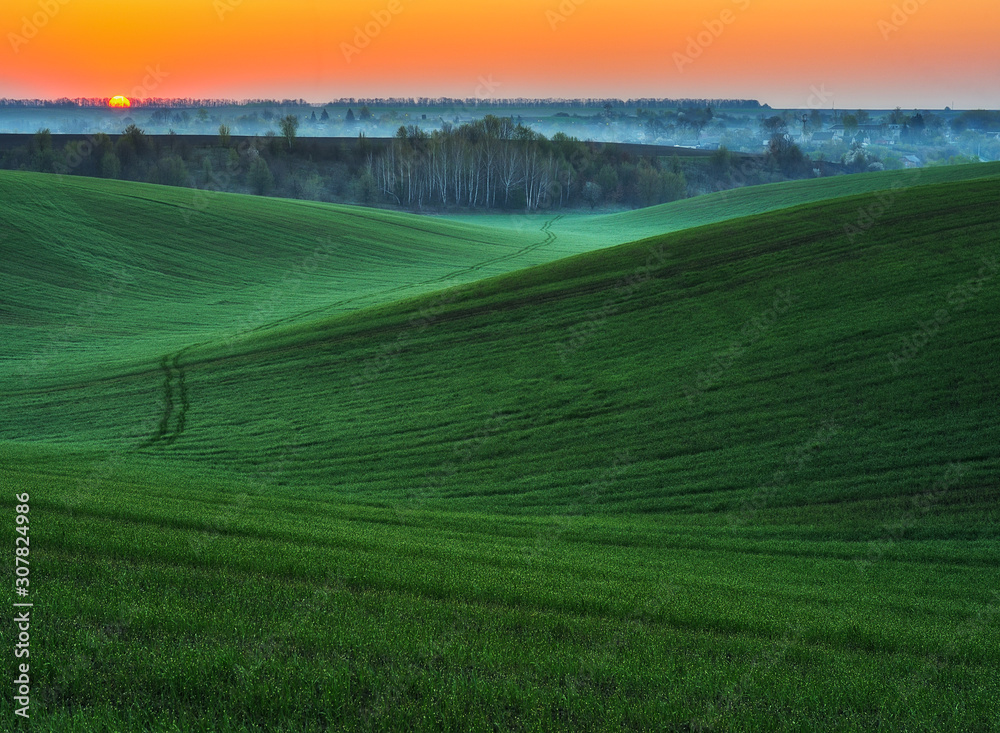 Obraz premium hilly field. picturesque hills of green field