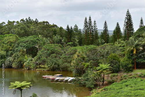 View of a lake shore surrounded by a tropical forest and with an empty wooden jetty.