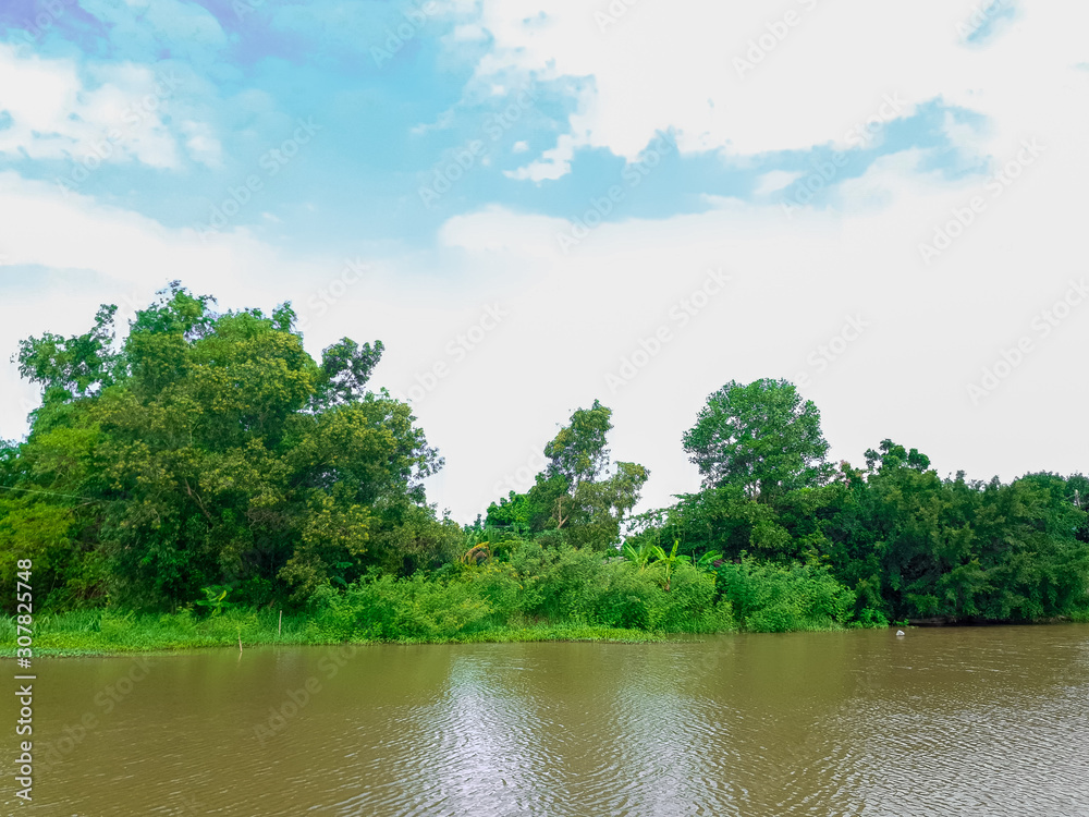 Summer green nature river landscape in blue sky with Cloud.