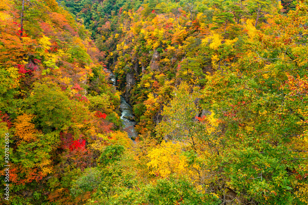 Beautiful scenic landscape of mountain at Naruko Gorge with the colorful foliage of autumn season in the forest and natural stream flow at the foot of mountain in Naruko City, Miyagi Prefecture, Japan