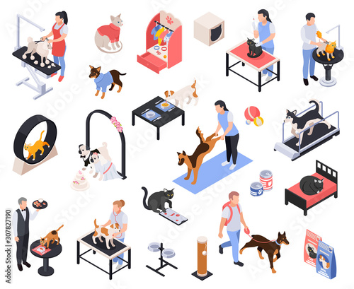Pet Services Isometric  Set  
