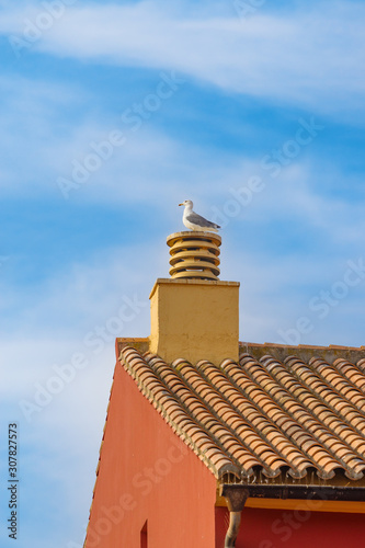 A seagull sits on a chimney on a roof against a blue sky with white clouds.